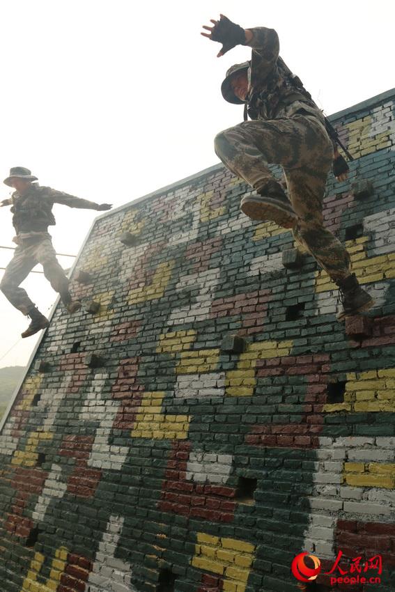 ����Ӗ�����������������t�z��