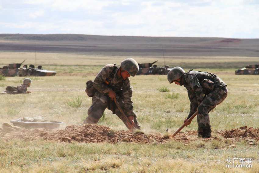 �t܊���ݹٱ����șC������� ���i�z