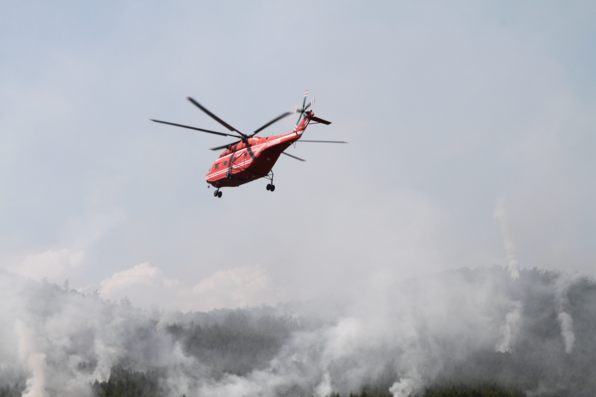 �����ɲ�