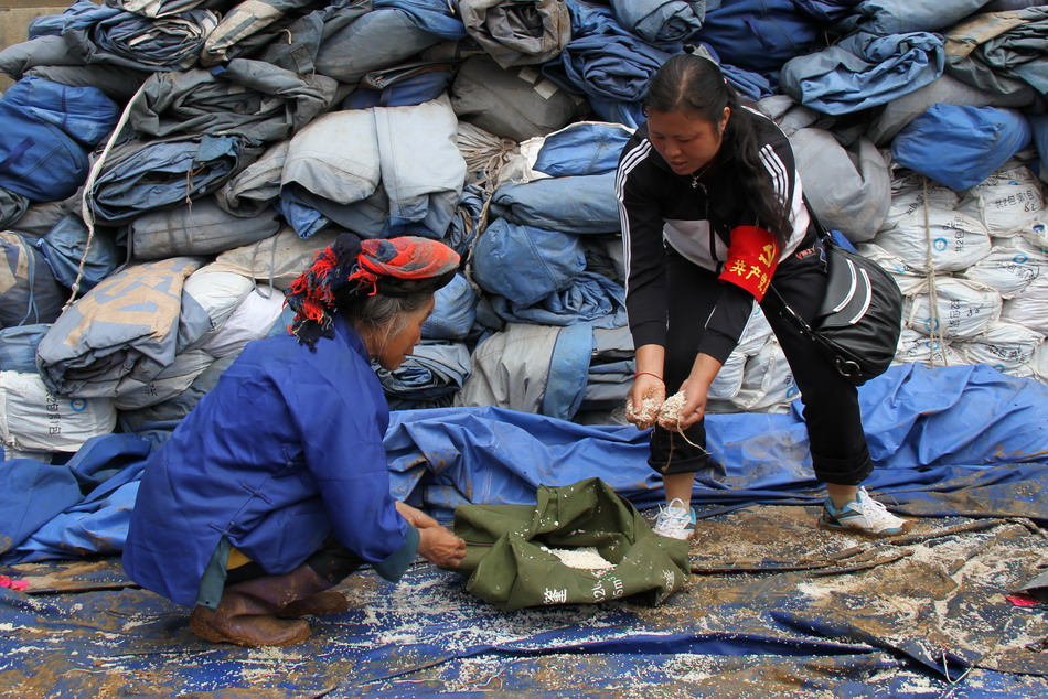 Įǰ҂Сֻȫ