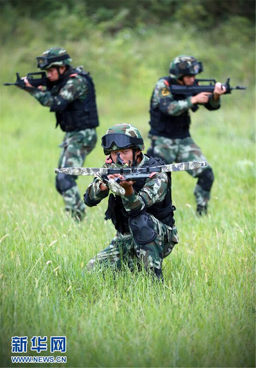 814侯V꠹֧ꠡRͻꠡ꠆TǰҰֳֹ