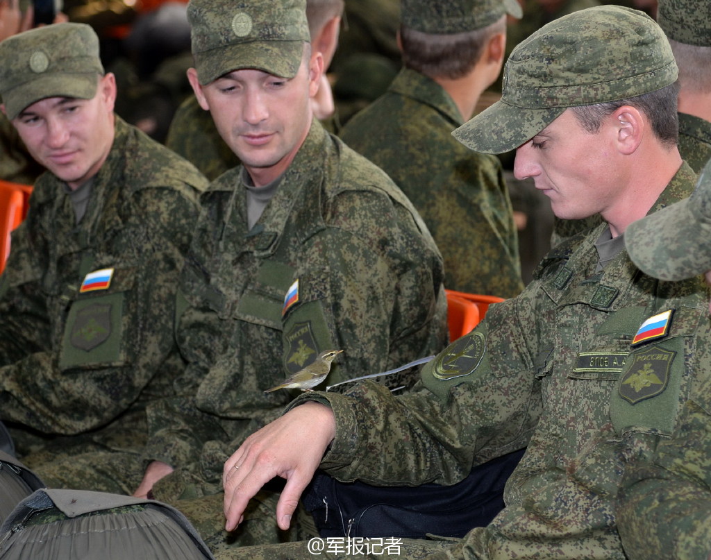 �M�D���텢�ݲ�꠵��A �з����ɹ���gӭ�xʽӭ�ӡ�4��