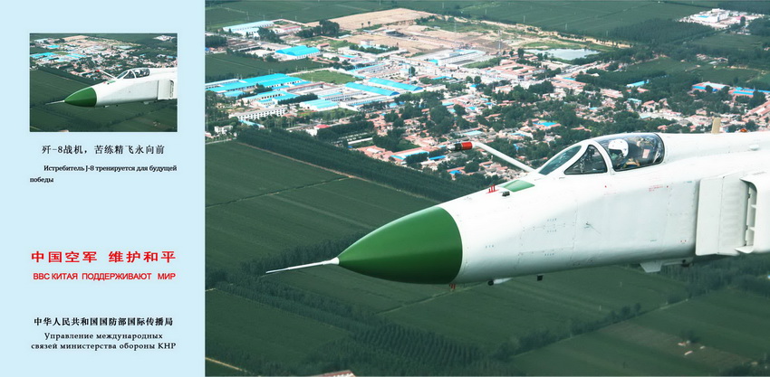 -8Cྚwǰ  DƬzӰT