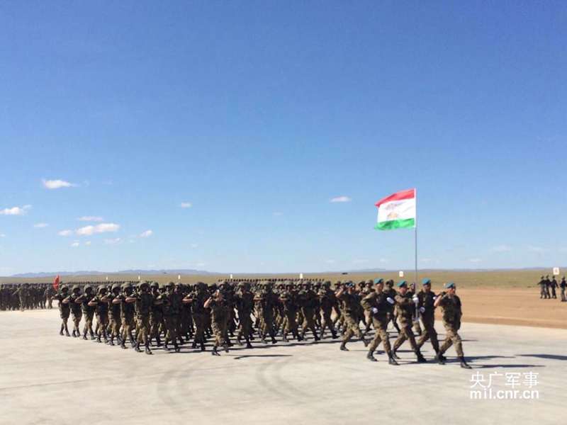 ͬԲʵ5ݹٱ񶶔\Rۉѵ܊νόݲzz6