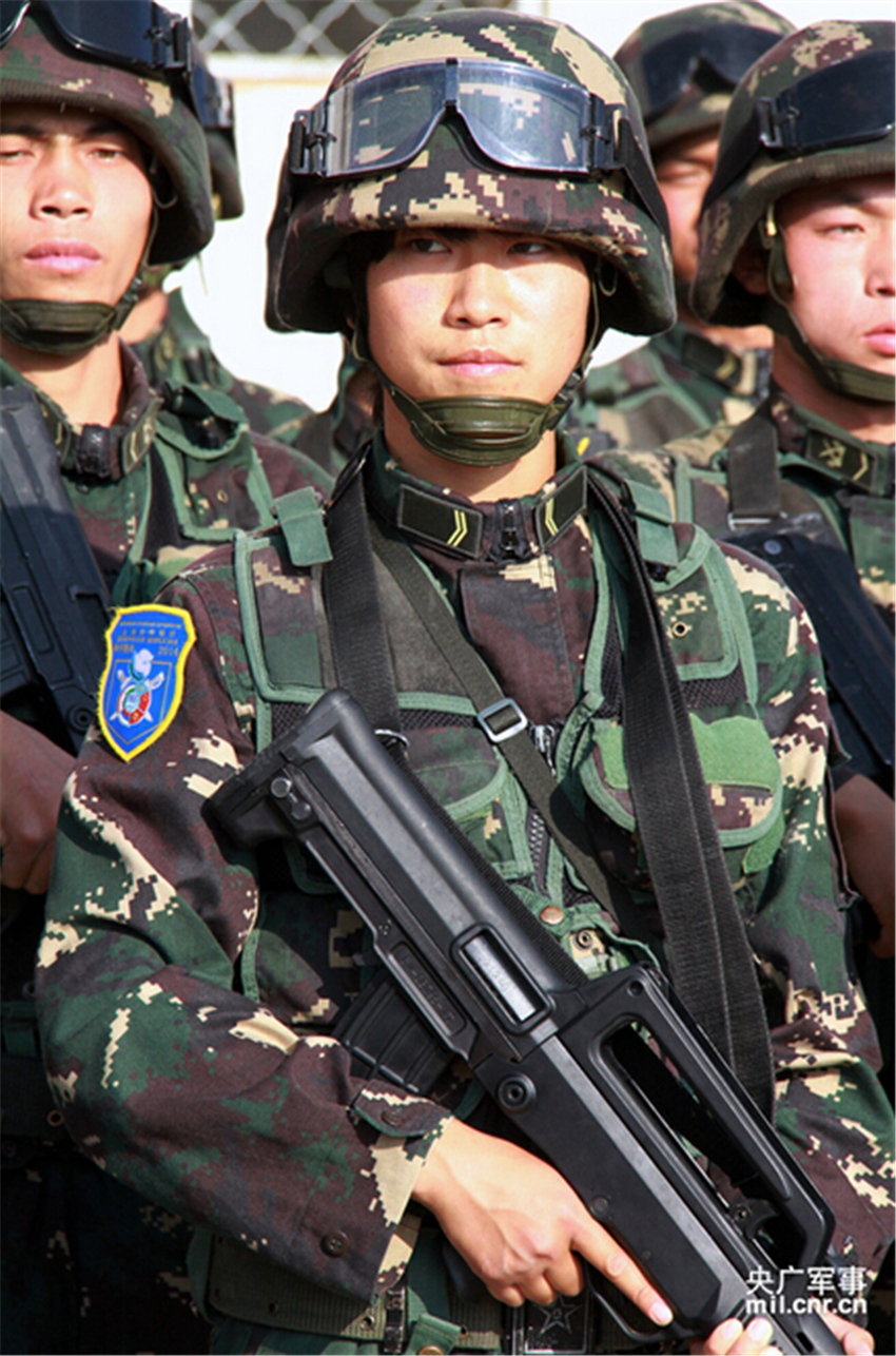 D鄢ڡƽʹ-2014ݳǅ^ӖĵȺЄָx¶  z