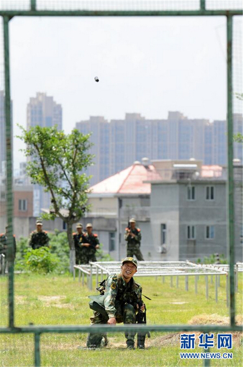 827侯꠆ؑTͶSߜI