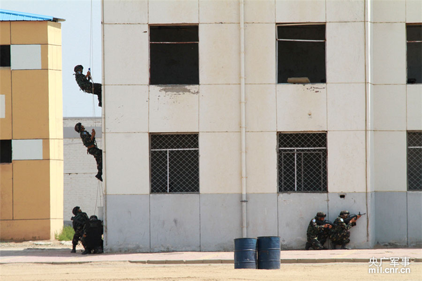 ֲDԘ|Ҫʹϲ꠱Mėlx¶ z 