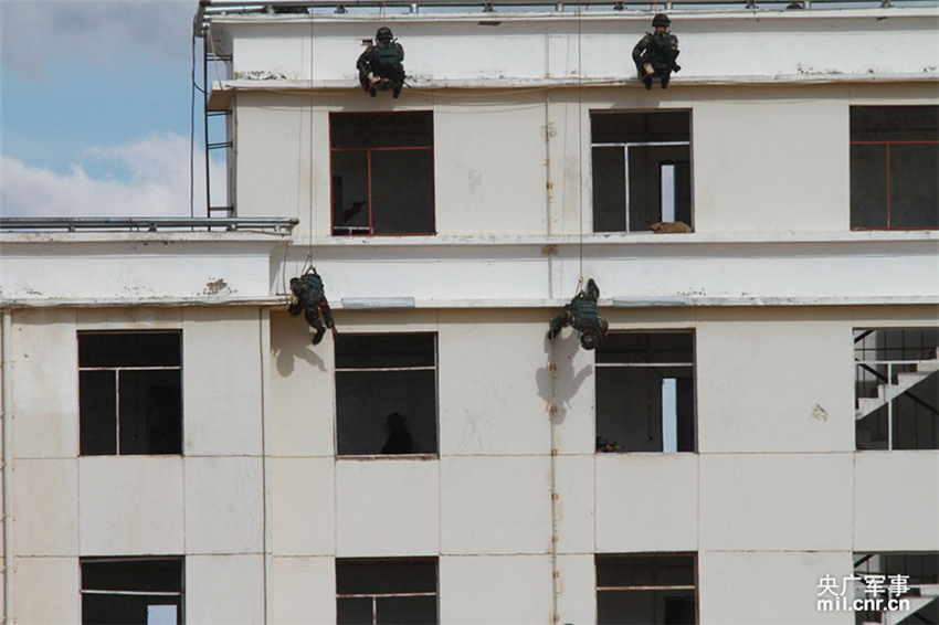 зӑMͼtѸͨ^\ݔֱC͂Tx¶ z 