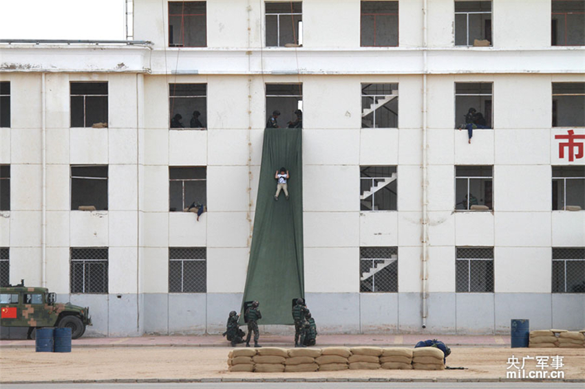 з֧ؑԮMз{t꠆T\ݔֱC[ǌʩx¶ z 