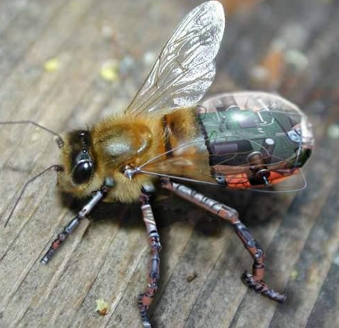 ը̽y۷СҲIıը̽yͨ۷Xc܊ȮXஔMӖ֮۷ԙzyըͻW