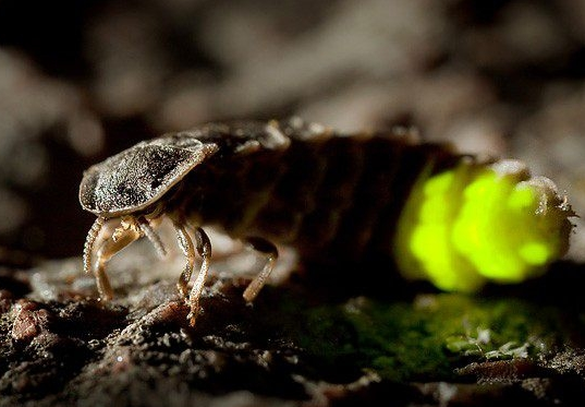 ڵһrҹҕΞxʿṩʹxȡ؈Dͨŵĕr򲻱˰lF