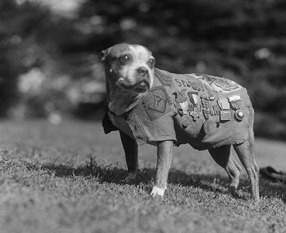 ܊ȮStubbyc^17ΑʿڏĹҵڟo˅^܂ʿͳɹץסһgՙ