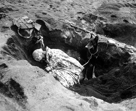 19452ǍuһʿϢĶeȮ桱߅վ