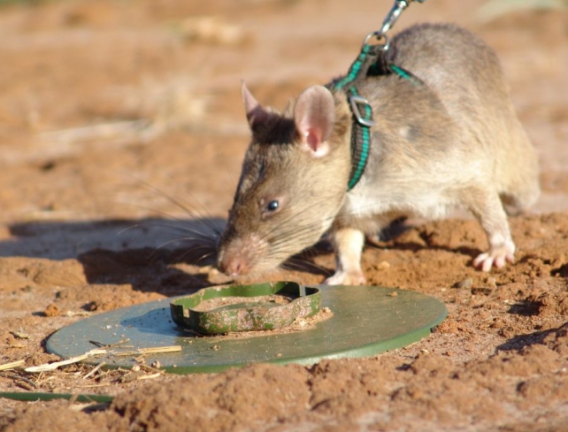 ̽mȻ܊Ȯrsp̽y܉MMխ̈́yԵ_ą^