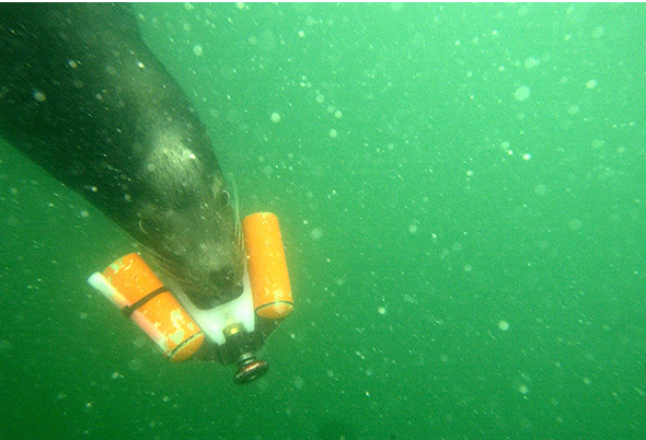 2003һ^{cgͺϵyĵĜ\ˮ֙zyϵy SWIDS ӋMӖ{΄ǌҳ˵ĵ׺͔rؔĝˮT