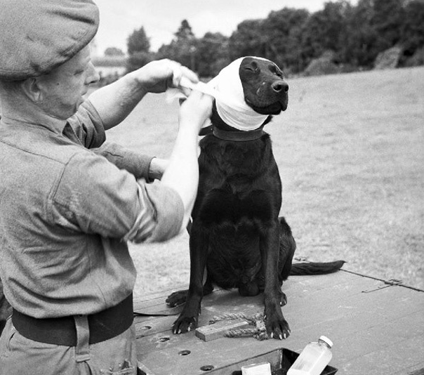 19447һֻ̽ȮZ׽ί