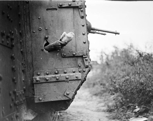 19188һֻ΄յһvӢ̹˵Ŀڶጷų