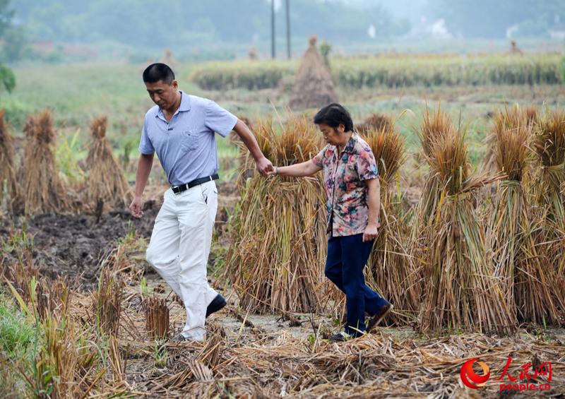 ����:�w�c��21��ĬĬ�MТ�������c��