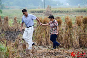 �w�c�䠿������ɢ��