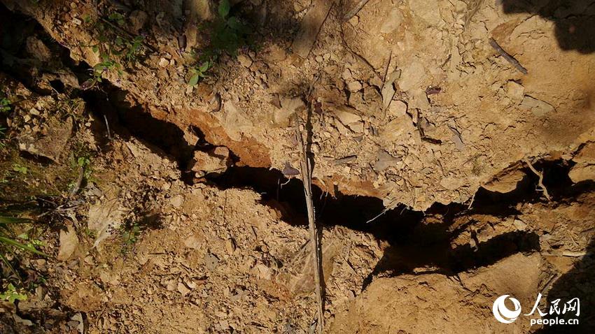 Ϸĵн5׌Ҋ