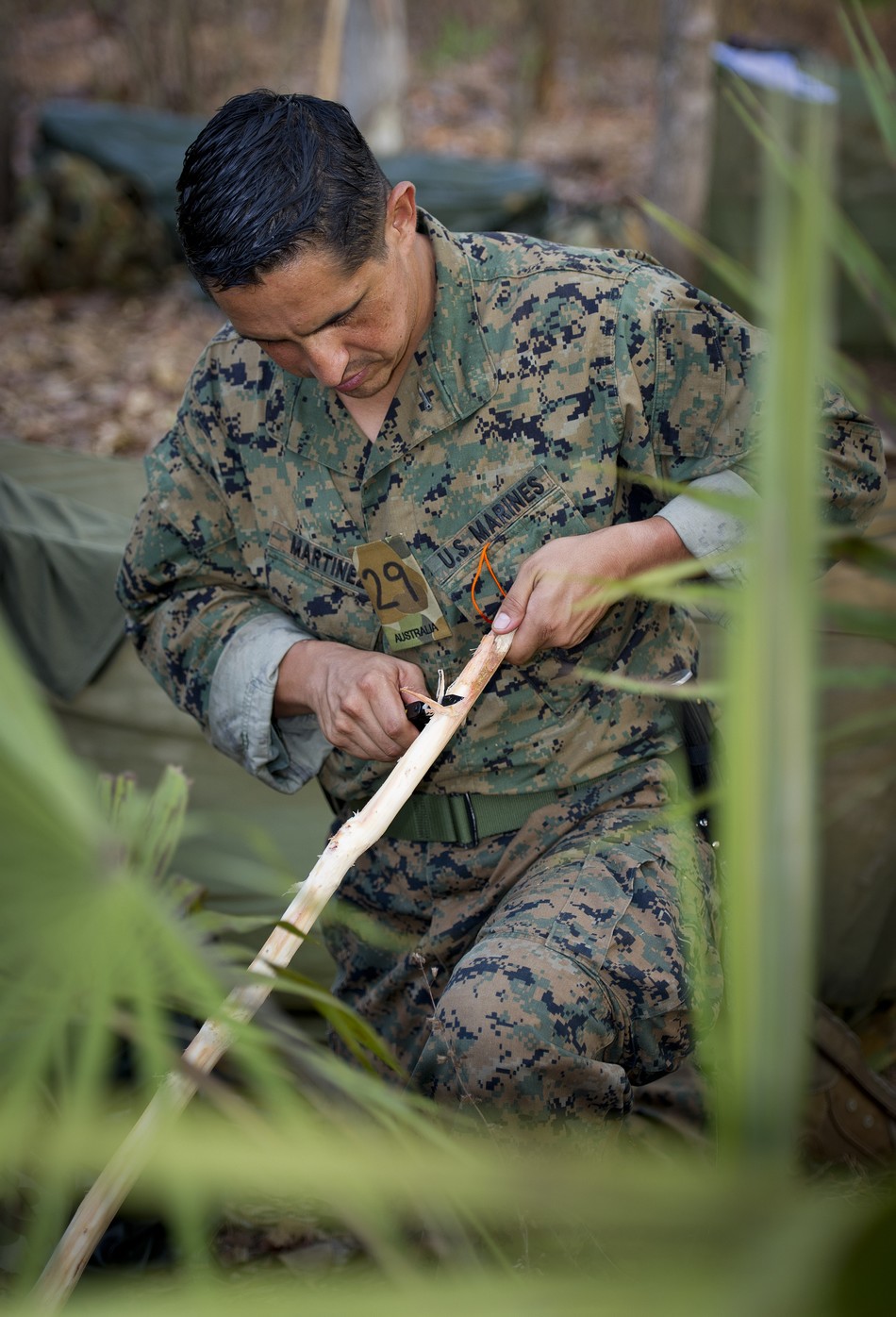 �����������ˆT�W���@ľȡ��