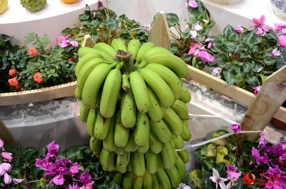 ��չ�F��չ���ĺ����߲�������z