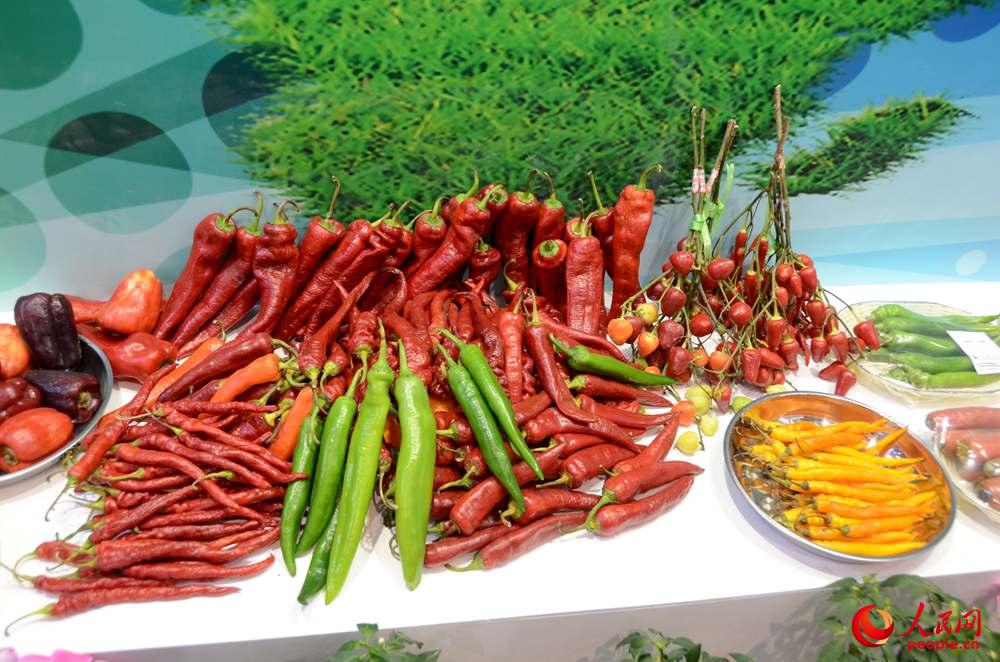 ��չ�F��չ���ĺ����߲�������z