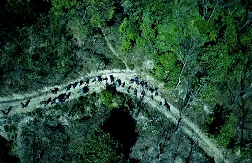 �o�Ƭ���v�_ �v�_����߀ԭ�Ї��h��܊��������K�ґ��¡�7��