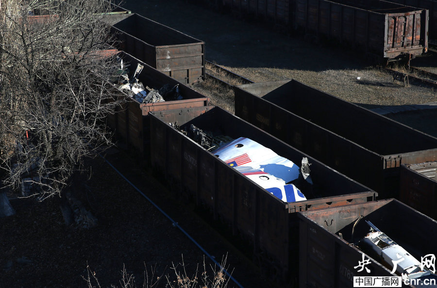 ���壺MH17�����ĉ��C���\�� ���s100����Ƭ��8��