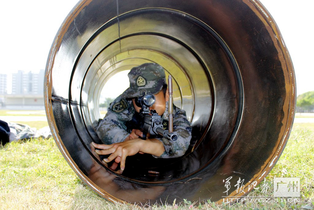 ץAӖDvTꠑʿMкCӖ