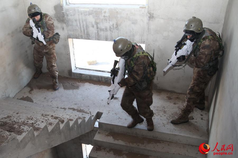 ���ЊZ�ؑ������{܊�ٱ������ڽ�����ȷ�������