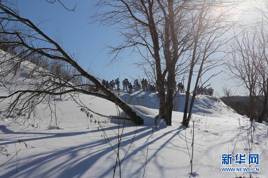 ����L���������������������A��ӛ��������z