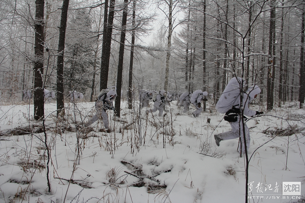 ���壺���܊�^�ؑ���ѩ��Ұ������Կ����⡾7��