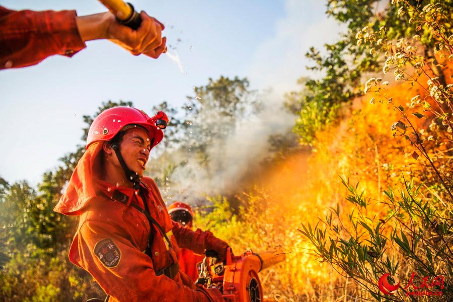 201538侯ɽɭ֧꠹ٱĴʡГɭֻ 