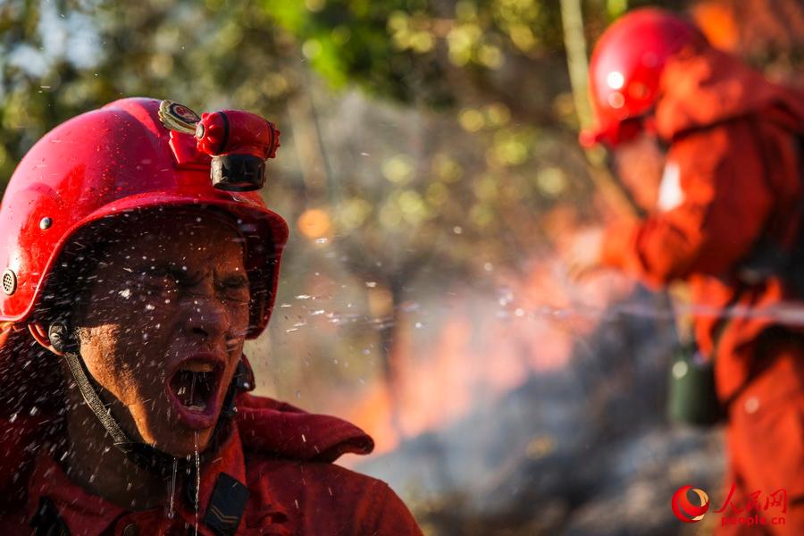 2015��3��8�����侯��ɽ��ɭ��֧꠹ٱ����Ĵ�ʡ�����Г��ɭ�ֻ����