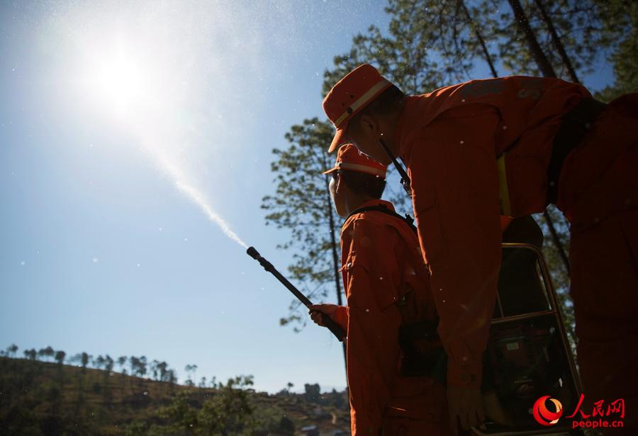  4��3�����侯��ɽɭ��֧꠹ٱ��B�m��������ɽ������Ѳ߉���������{ԇ����b����