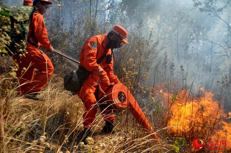 4��1������ɽ���������d���l��ɽ���F�������侯��ɽɭ��֧꠹ٱ�Ѹ�ٓ���ֻ���