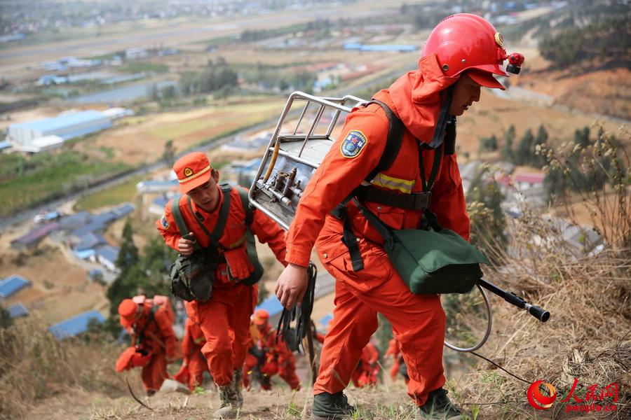 4��1������ɽ���������d���l��ɽ���F�������侯��ɽɭ��֧꠹ٱ�Ѹ���s���F������ֻ���