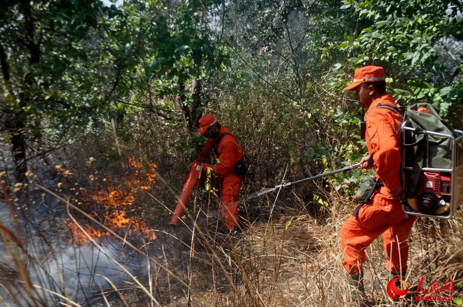 4��1������ɽ���������d���l��ɽ���F�������侯��ɽɭ��֧꠹ٱ�Ѹ�ٓ���ֻ���