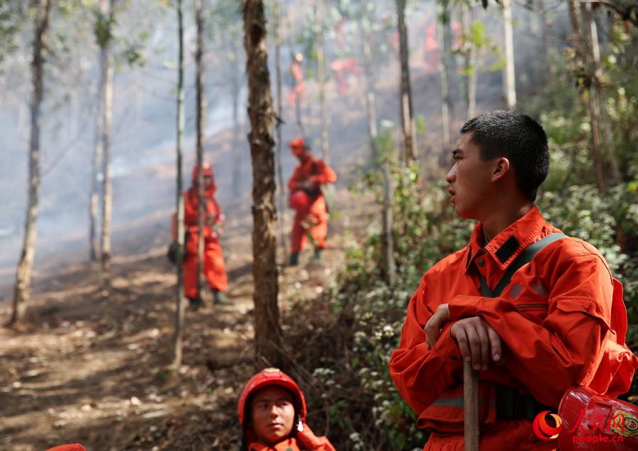  ���������l�������侯��ɽɭ��֧꠹ٱ�Ѹ���_�O���x������ֻ���