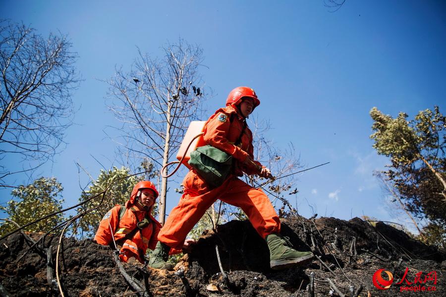 4��1������ɽ���������d���l��ɽ���F�������侯��ɽɭ��֧꠹ٱ�Ѹ�ٓ���ֻ���