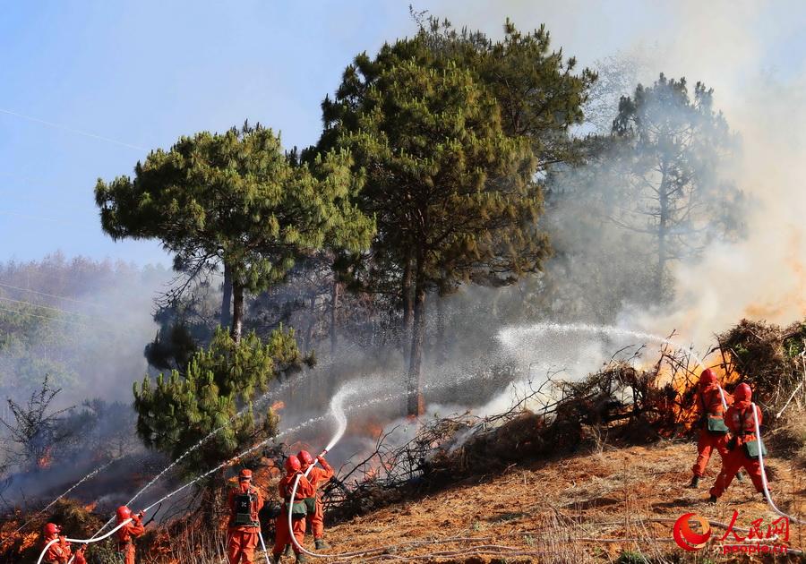 �������M