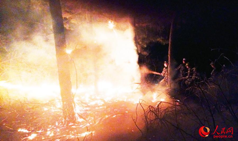 ���˲�g���ɘ�ľ���ٱ��^������ֹ����������(�S���� �z)