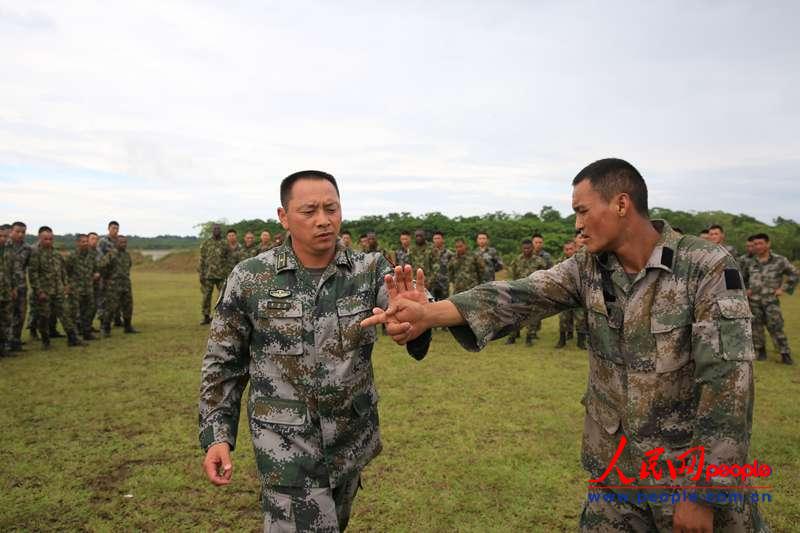 ���ڸ񶷼���