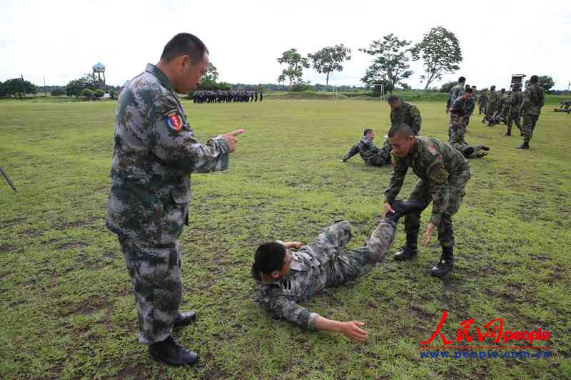 ָ����܊������