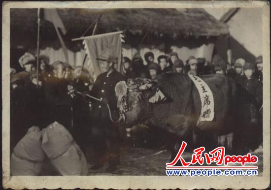 ƬĔz1952괺ëϯָʾꐺ܊ĸHٛһ^ţrζػhS^l^LĄëϯٛ͵ĸţHͽoꐺĸH^ĸ