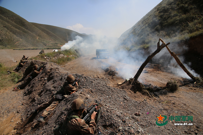 �D��t�{�������� ���z