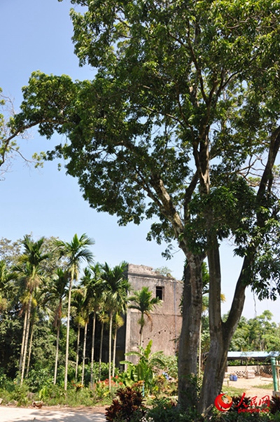 SIR̹޴ڼl彨ژzַ߅ִ֦