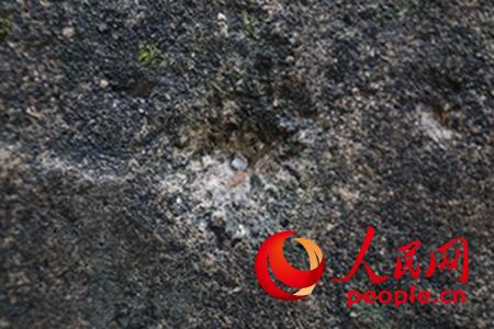 ܊µĵﱤϏ߀^zӰZ