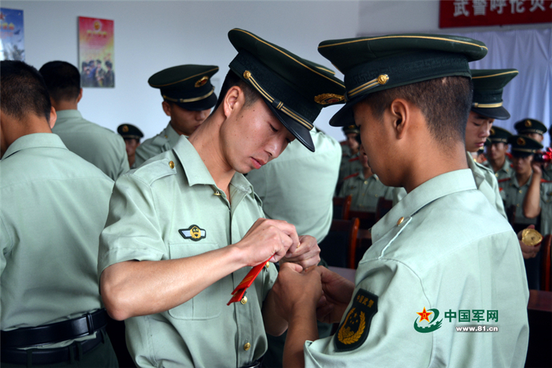 xʽϱ໥ժ¾IP z